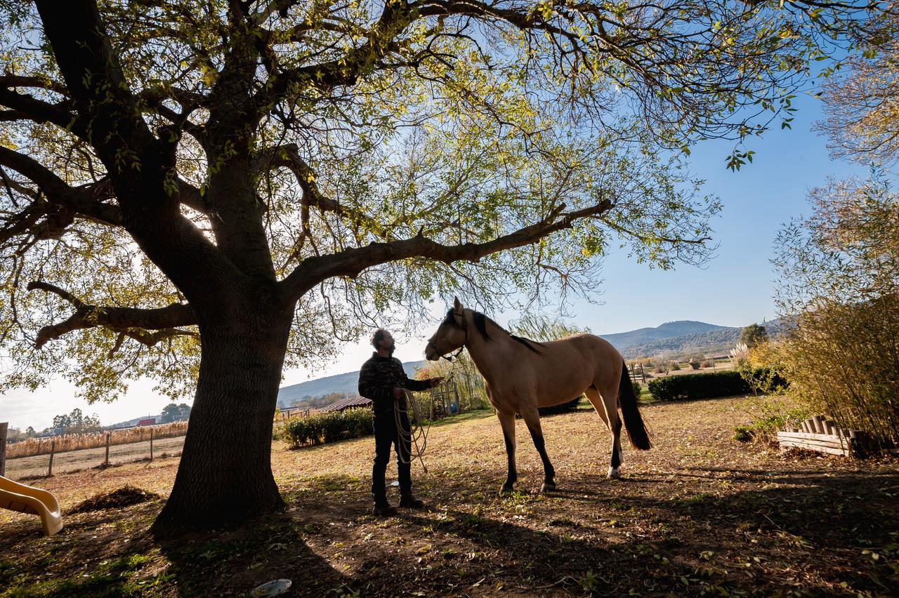 El Molino Agriturismo Fonteblanda Bagian luar foto