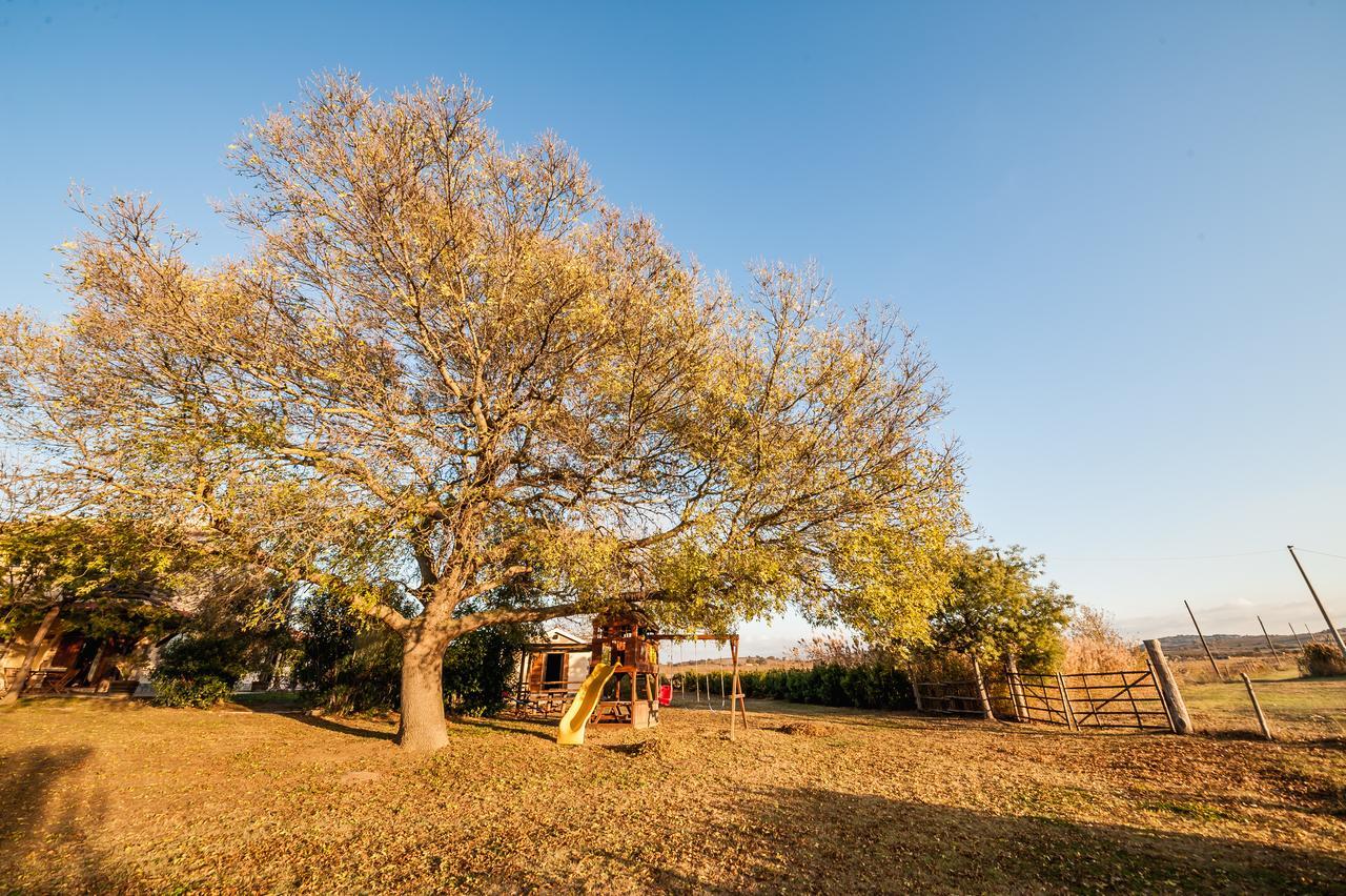 El Molino Agriturismo Fonteblanda Bagian luar foto