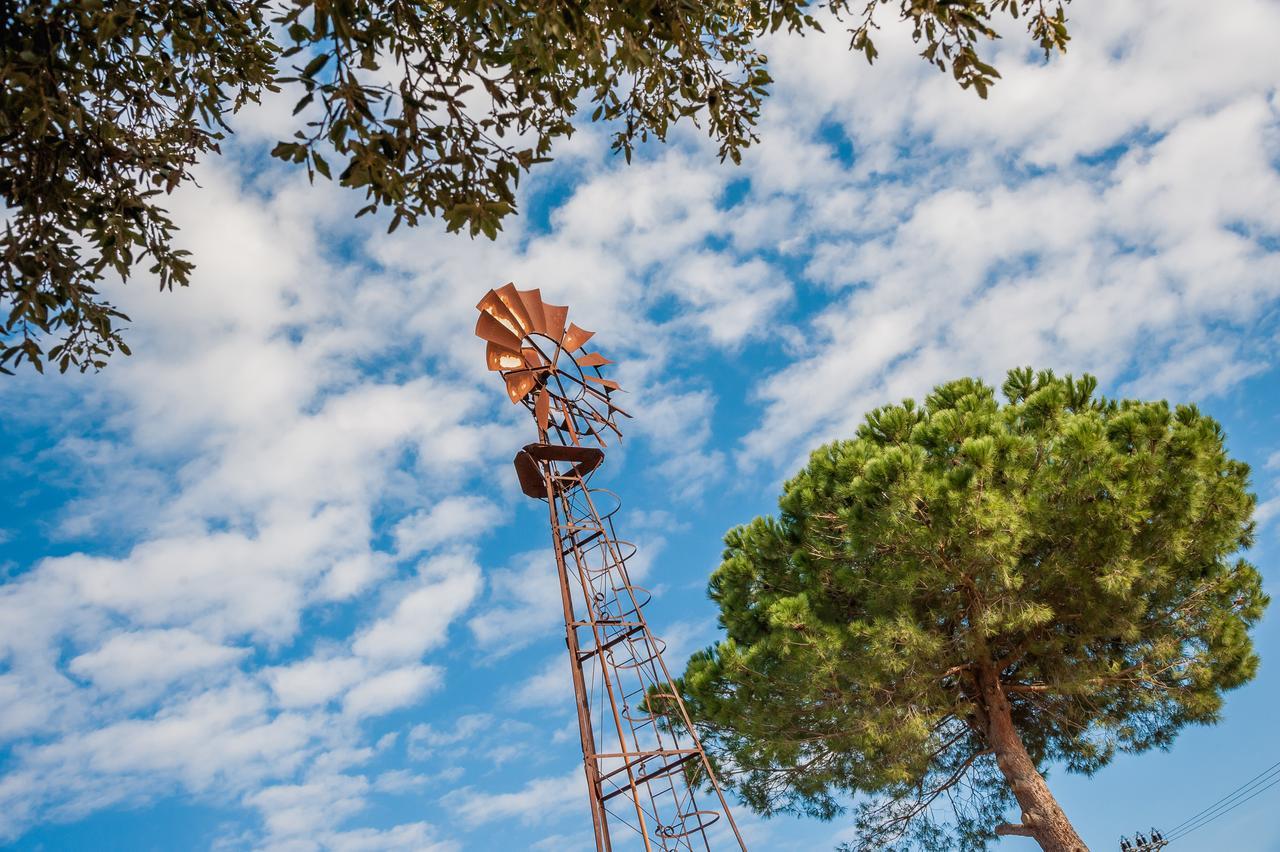 El Molino Agriturismo Fonteblanda Bagian luar foto